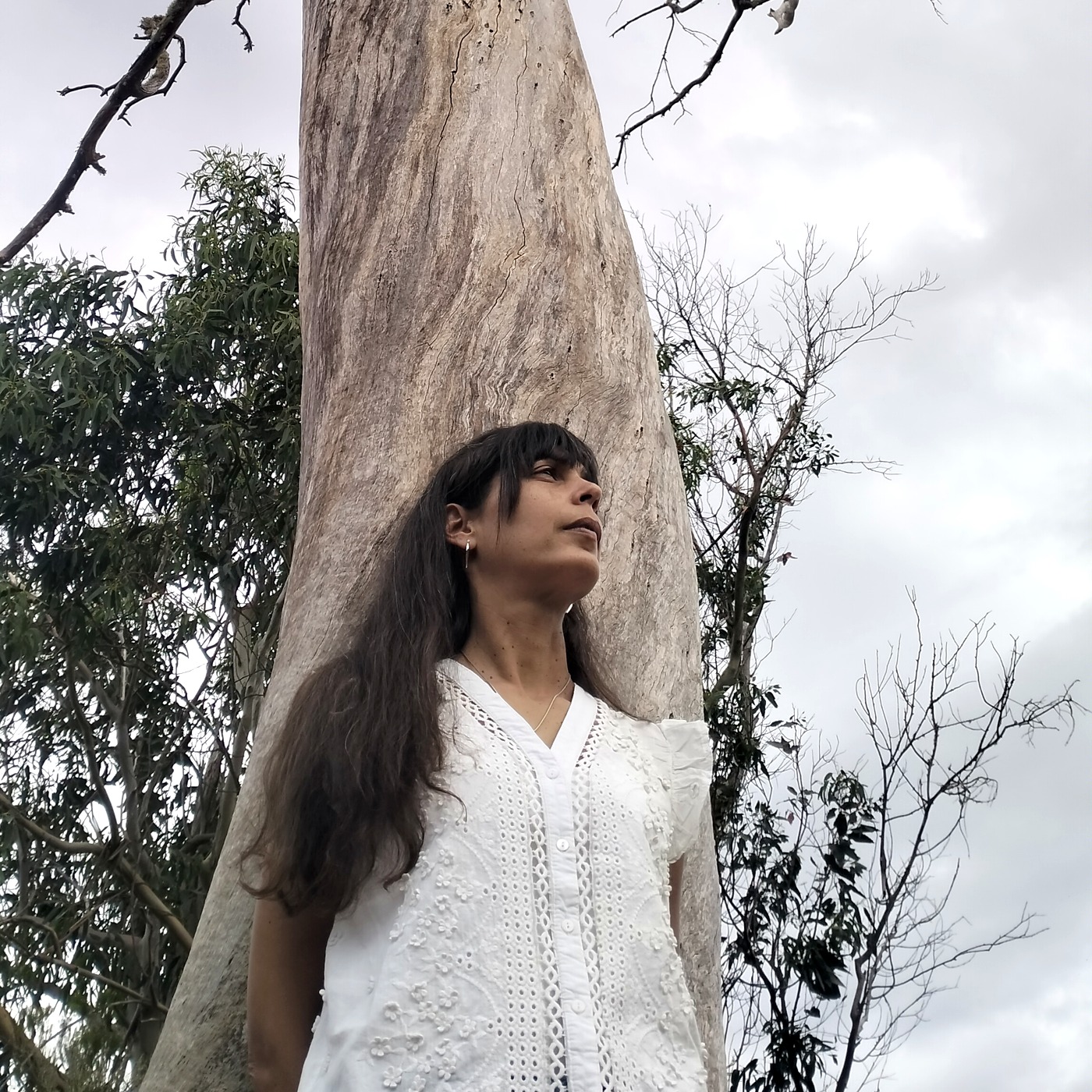 sobremi arbol cuadrada